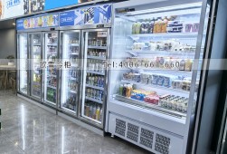便利店冷柜-廣州哪里有賣便利店飲料柜？