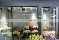 保鮮庫-杭州花店10立方的玻璃花房冷庫安裝