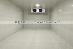 冷藏冷庫-湖南邵陽農(nóng)產(chǎn)品儲(chǔ)存冷庫安裝